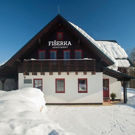 Apartmany Fiserka Rokytnice nad Jizerou Buitenkant foto