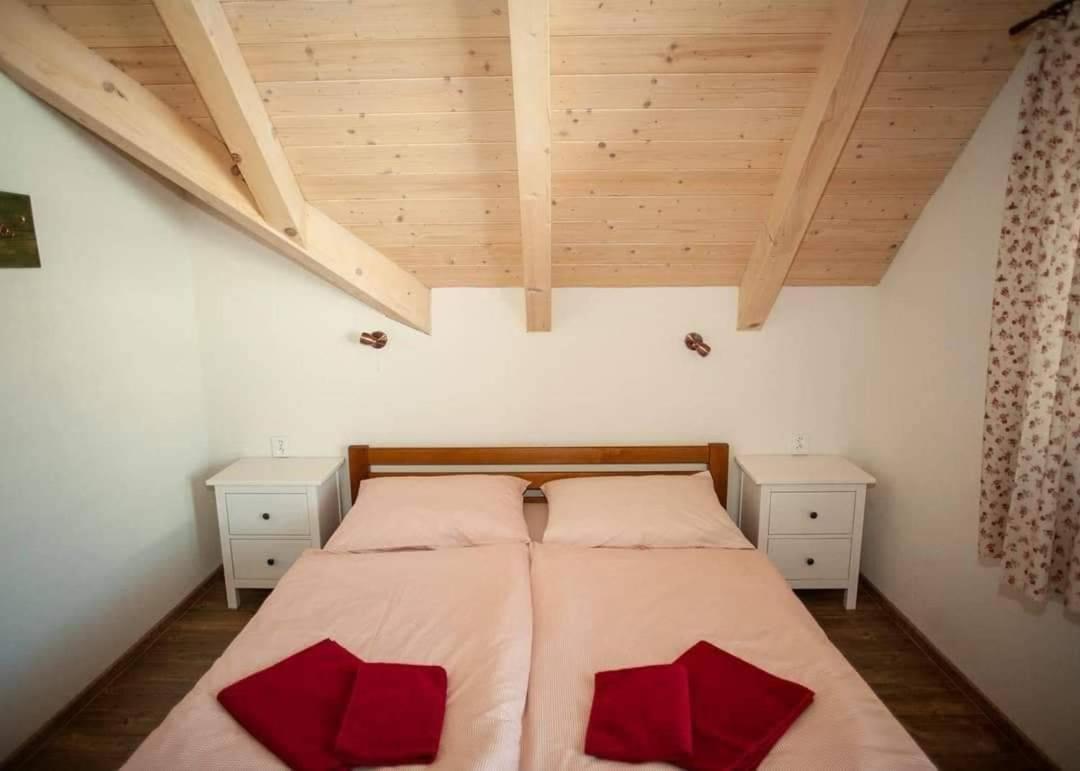 Apartmany Fiserka Rokytnice nad Jizerou Buitenkant foto